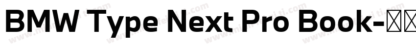 BMW Type Next Pro Book字体转换